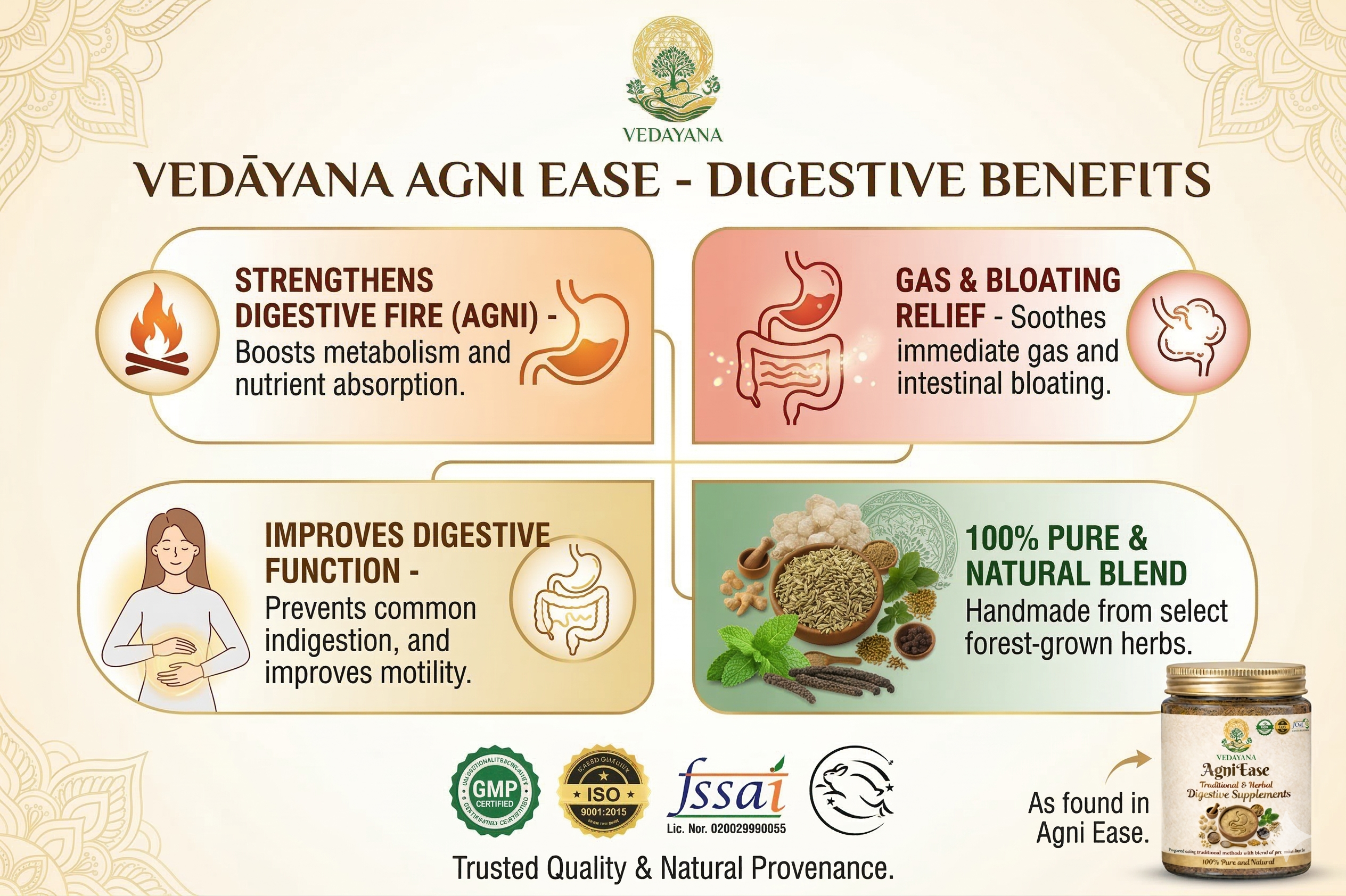 AgniEase - Ayurvedic Digestive Supplement for Gut Health & Acidity